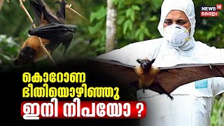 Nipah Virus  കേരളത്തില്‍ വീണ്ടും നിപാ   Kozhikode ജില്ലയിൽ അതീവ ജാഗ്രത  Malayalam News Today [upl. by Mchale]