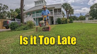 Late Season Lawn Renovation  When is Too Late [upl. by Renmus672]