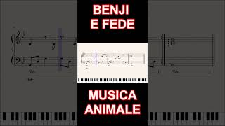 MUSICA ANIMALE  BENJI E FEDE  ritornello al pianoforte [upl. by Asuncion45]