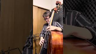 Double Bass Solo ‘Beautiful Love’ [upl. by Idalina355]