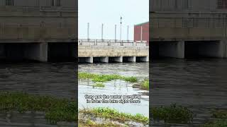 A walk on a New Orleans levee [upl. by Ahsirak]