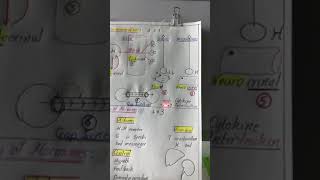 Crash Course  Endocrine 1  23 July 2018   Intro amp Important endocrine scheme [upl. by Quartana]