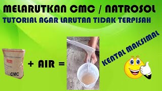 CARA MELARUTKAN CMC  NATROSOL AGAR TIDAK TERPISAH DARI AIR [upl. by Saravat]