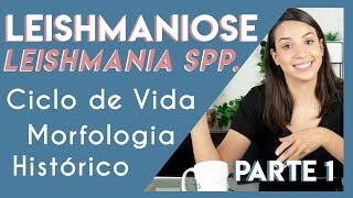 Leishmaniose Leishmania spp  DICAS PARA SUA PROVA PRÁTICA  Parte 1  PARASITOLOGIA 5 [upl. by Anayik488]