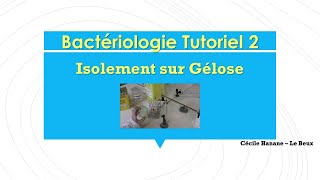 Bactériologie Tutoriel 2  Faire un isolement sur gélose  étude macroscopique des colonies [upl. by Ydassac]