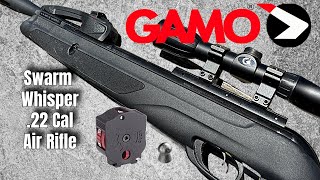 Best Budget Air Rifle Gamo Swarm Whisper [upl. by Ccasi]