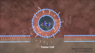 ADI STUDIO MEDICAL ANIMATION  Liposome Nanoparticles [upl. by Thurman]