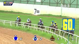 DHANTERAS THE CHAMPION TRAINER CUP DIVI100 [upl. by Shermy]