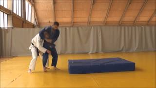 Dzudo  samoodbrana diplomski rad  Judo  selfdefense diploma thesis [upl. by Alethea960]