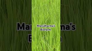 Explore with me biofertilizer manidharma [upl. by Kissner]