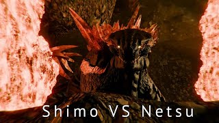 Shimo meets Netsu  Fan Animation  Inspired by AlphaAvenator Art  Read Description [upl. by Courtenay]