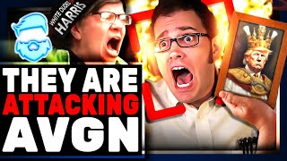 Woke Gen Z BLAST Angry Video Game Nerd For Donald Trump Winning AVGN Blamed By Kamala Harris Dorks [upl. by Norvell509]