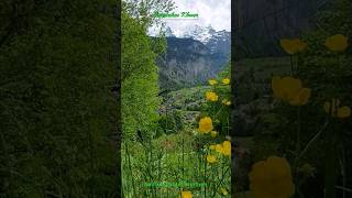 Isenfluh in Lauterbrunnen travel short reisen tour switzerland [upl. by Yzeerb692]