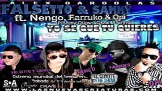 Yo Se Que Tu Quieres Remix  Falsetto amp Sammy Ft Ñengo Farruko amp Opi ★HoyMusicCom★ [upl. by Urissa445]