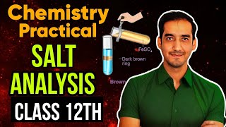 Score 30 in Chemistry Practical 🔥 Salt Analysis  Class 12 CBSE 2024 Sourabh Raina [upl. by Ateloiv]