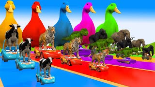 5 Giant Duck Cartoon Paint amp Animals Cow Elephant Gorilla Tiger Wild Animals Crossing Fountain [upl. by Cohlier26]