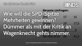 Wie will die SPDSpitze Mehrheiten gewinnen Dümmer als mit der Kritik an Wagenknecht gehts nimmer [upl. by Janifer888]