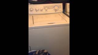 Washing Machine Beats [upl. by Amein992]