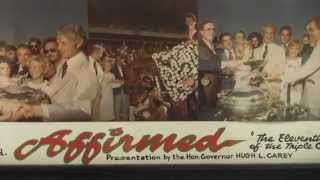 Instant Classic 1978 Belmont Stakes [upl. by Ijic536]