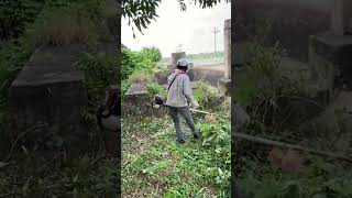 Cutting down trees Clean up house abandoned clean cleanup cuttingdown [upl. by Sheply]