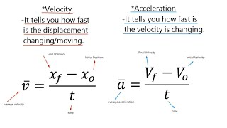 Velocity and Acceleration [upl. by Naraj]