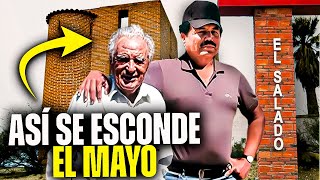 Así Es La VIDA En Las SOMBRAS de el Mayo Zambada  El Rey de los Narcos [upl. by Amara]