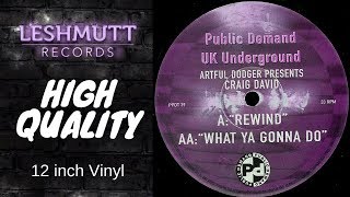 Artful Dodger Presents Craig David ‎– Rewind [upl. by Festatus]