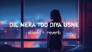 Dil Mera Tod Diya Usne slowed  reverb [upl. by Dine553]