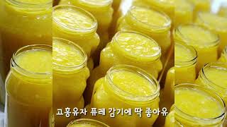 유자청 퓨레 감기에 딱 좋아요 주문 01052467671 [upl. by Langille966]