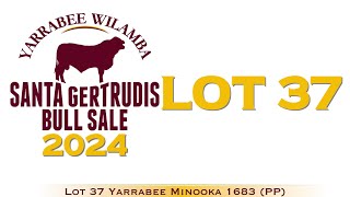 Lot 37 Yarrabee Minooka 1683 PP [upl. by Nirihs220]