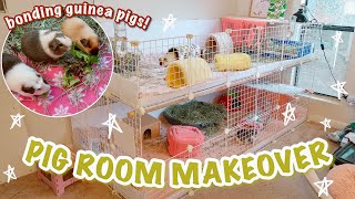 HUGE GUINEA PIG ROOM MAKEOVER  TRIO BONDING ❤ PET VLOG [upl. by Ina534]