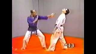 Hapkido 1 Basic Techniques [upl. by Ailliw]