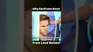 Why Eardrums Burst From Loud Noises [upl. by Carrelli745]