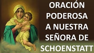 ▶ ORACION POTENTE A NUESTRA SEÑORA DE SCHOENSTATT  ORACION Y PAZ [upl. by Nesyt210]