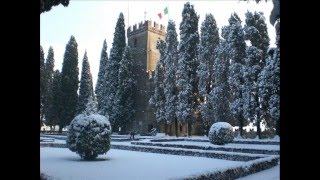 CONEGLIANO  NEVICATA DEL 191209 [upl. by Kora]