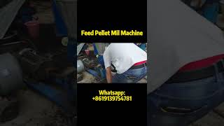 Feed Pellet Mill Machine for Animal  Tips for Making Your Own Efficient Feed [upl. by Atteuqihc]