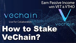 How To Stake VeChain VET amp VeThor VTHO  Passive Income by Staking VeChain VET amp VeThor VTHO [upl. by Leipzig]