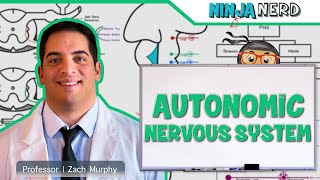 Neurology  Autonomic Nervous System [upl. by Zul]