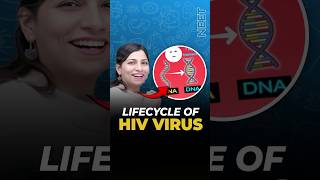 Lifecycle of HIV Virus  Ritu Rattewal neetbiology neet2025 neet neetexam [upl. by Aerdnaid916]