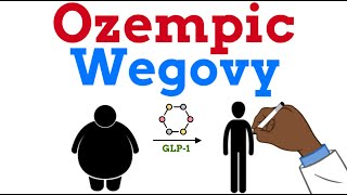 Ozempic and Wegovy  Everything you need to know [upl. by Cordle]