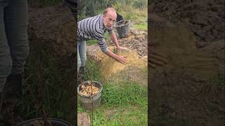 Subsoil slop landscaping permaculture gardening cat fitnessmotivation mud exercise ideas [upl. by Rma863]