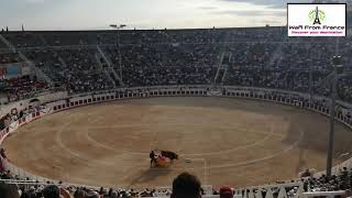 Bullfight in Beziers Part 1 [upl. by Rayshell]