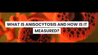 What is Anisocytosis [upl. by Nalla]