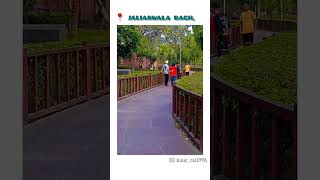 📍jallianwala bagh amritsar jallianwala bagh hatyakand shorts viralvideo youtubeshorts music [upl. by Hailahk]