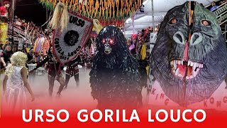 Urso Gorila Louco 2024  Desfile Oficial  Carnaval Tradição de João Pessoa GORILALOUCO2024 [upl. by Otte]