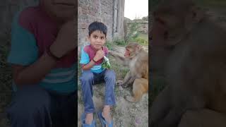 🙈💦🙏👌👌👍 Bandar ko baccha kis tarike se biscuit Khabar Aaya Kuchh Bhi Khabar Aaya Dekho subscribe [upl. by Lugo]