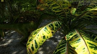 CryEngine 3 SDK  Jungle Environment DirectX11 [upl. by Bjorn636]