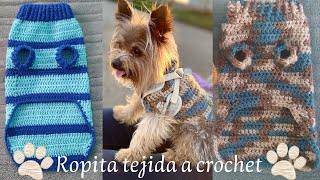 ROPA DE PERRITOS Y GATITOS TEJIDA A CROCHET 1 [upl. by Assiluj]