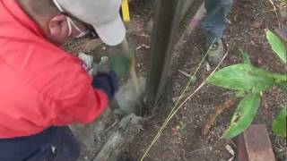 Using Cement Australia Rapid Set Concrete to set a post [upl. by Ailene]