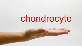 How to Pronounce chondrocyte  American English [upl. by Beera418]